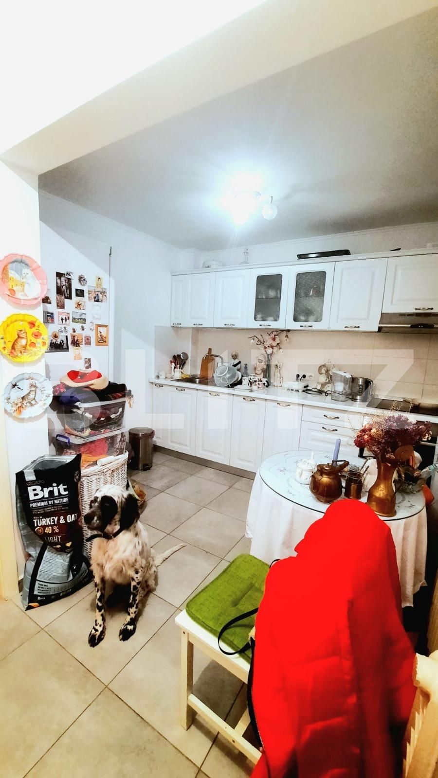 Apartament de vânzare 2 camere Ultracentral - 137070AV | BLITZ Oradea | Poza2