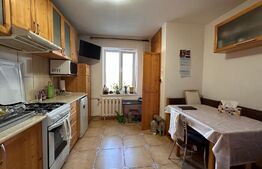 Apartament 3 camere, Dragos Voda, vedere spre Crisu