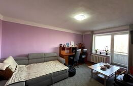 Apartament 3 camere, Dragos Voda, vedere spre Crisu