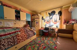 Apartament 3 camere, Dragos Voda, vedere spre Crisu