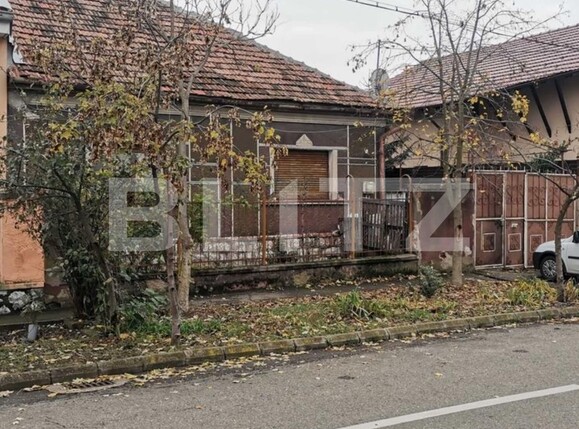 Casa de vânzare 4 camere Cantemir - 137125CV | BLITZ Oradea | Poza1