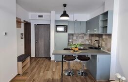 Apartament 2 camere Onestilor