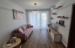 Apartament 2 camere Onestilor