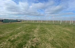 De Vânzare Teren Langa Oradea Zona Pitoreasca Aproape de Pădure 