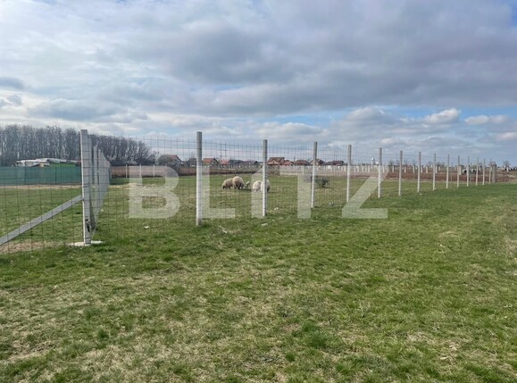 Teren de vânzare Nojorid - 137474TV | BLITZ Oradea | Poza2