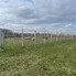 Teren de vânzare Nojorid - 137474TV - Poza 1 din 4 | BLITZ Oradea | Poza1