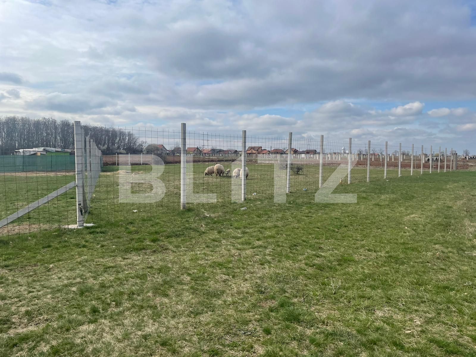 Teren de vânzare Nojorid - 137474TV | BLITZ Oradea | Poza2