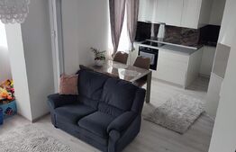 Apartament 3 camere, zona Nufarul