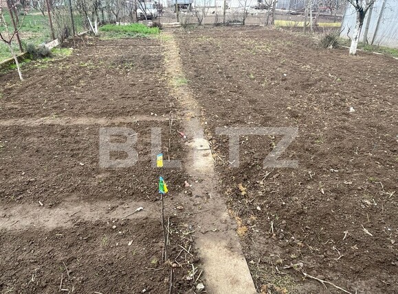 Casa de vânzare 5 camere Nojorid - 137857CV | BLITZ Oradea | Poza4