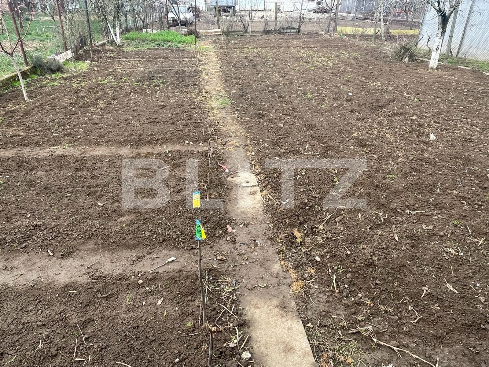 Casa de vânzare 5 camere Nojorid - 137857CV | BLITZ Oradea | Poza4