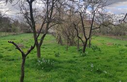 Casa la 33 km distanta fata de Oradea