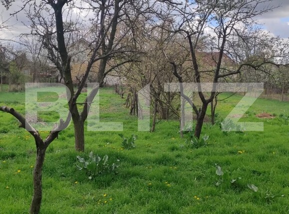 Casa de vânzare 2 camere Nord-Vest - 138019CV | BLITZ Oradea | Poza8