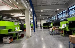 Oportunitate de Investiție: Hală Industrială cu Chiriași