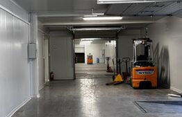 Oportunitate de Investiție: Hală Industrială cu Chiriași