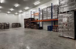 Oportunitate de Investiție: Hală Industrială cu Chiriași