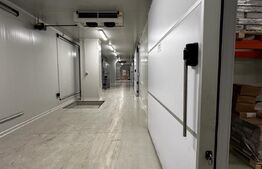 Oportunitate de Investiție: Hală Industrială cu Chiriași