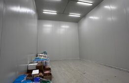 Oportunitate de Investiție: Hală Industrială cu Chiriași