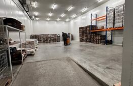 Oportunitate de Investiție: Hală Industrială cu Chiriași