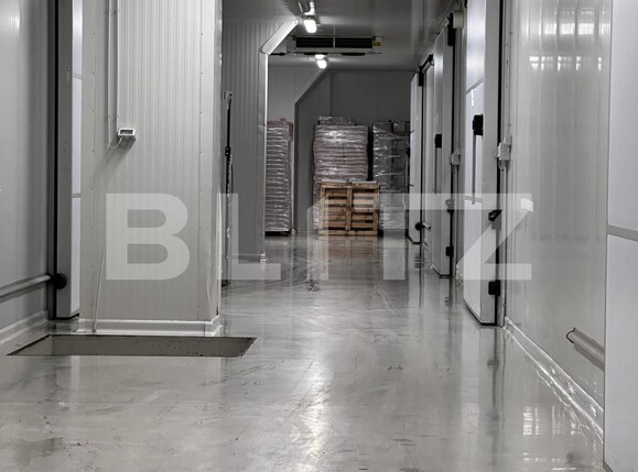 Spațiu industrial de vânzare Nufarul - 138083SVI | BLITZ Oradea | Poza10