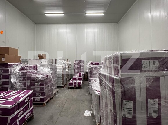 Spațiu industrial de vânzare Nufarul - 138083SVI | BLITZ Oradea | Poza3