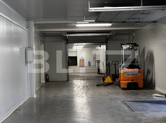 Spațiu industrial de vânzare Nufarul - 138083SVI | BLITZ Oradea | Poza6