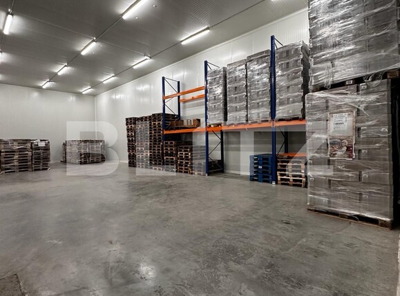 Spațiu industrial de vânzare Nufarul - 138083SVI | BLITZ Oradea | Poza18