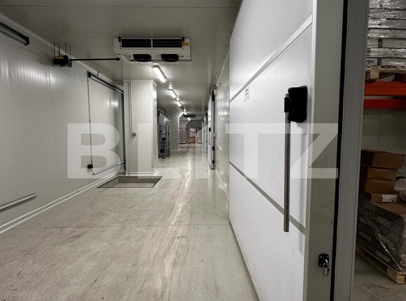 Spațiu industrial de vânzare Nufarul - 138083SVI | BLITZ Oradea | Poza8