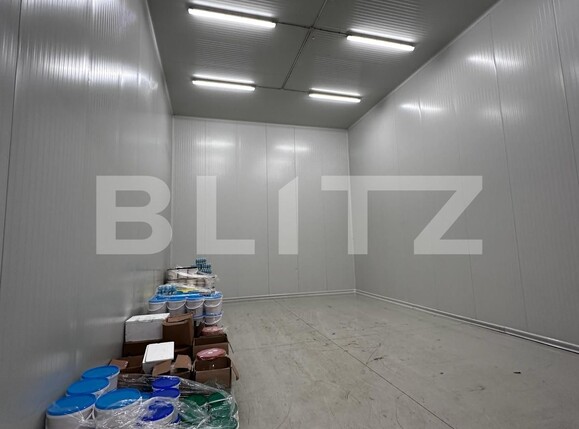 Spațiu industrial de vânzare Nufarul - 138083SVI | BLITZ Oradea | Poza2