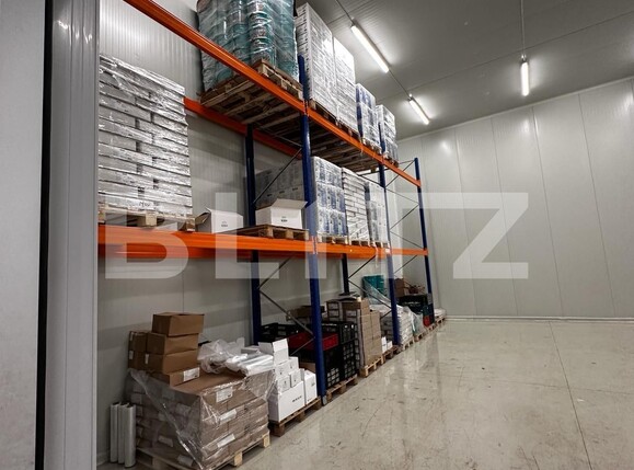 Spațiu industrial de vânzare Nufarul - 138083SVI | BLITZ Oradea | Poza7