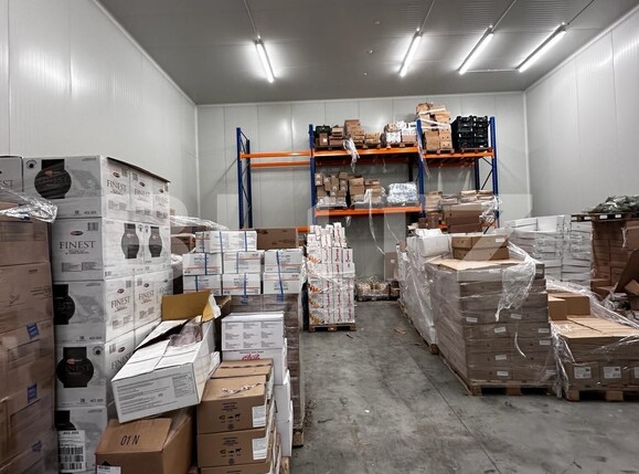 Spațiu industrial de vânzare Nufarul - 138083SVI | BLITZ Oradea | Poza9