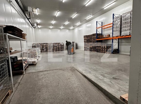 Spațiu industrial de vânzare Nufarul - 138083SVI | BLITZ Oradea | Poza12