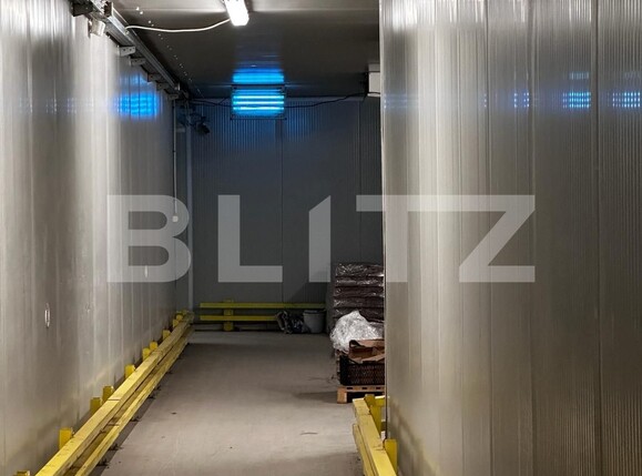 Spațiu industrial de vânzare Nufarul - 138083SVI | BLITZ Oradea | Poza13