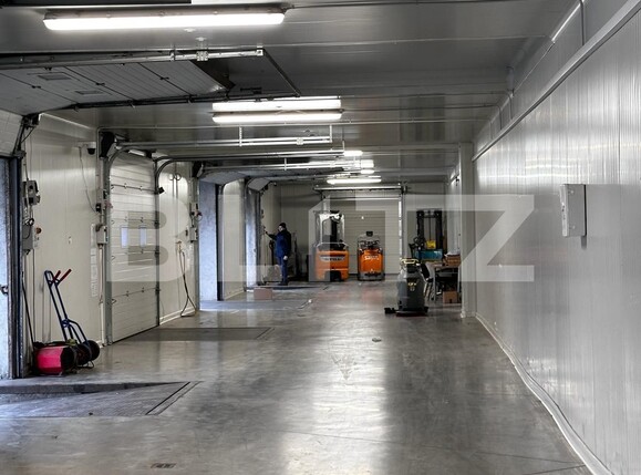 Spațiu industrial de vânzare Nufarul - 138083SVI | BLITZ Oradea | Poza11