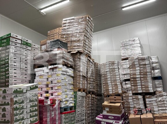 Spațiu industrial de vânzare Nufarul - 138083SVI | BLITZ Oradea | Poza4