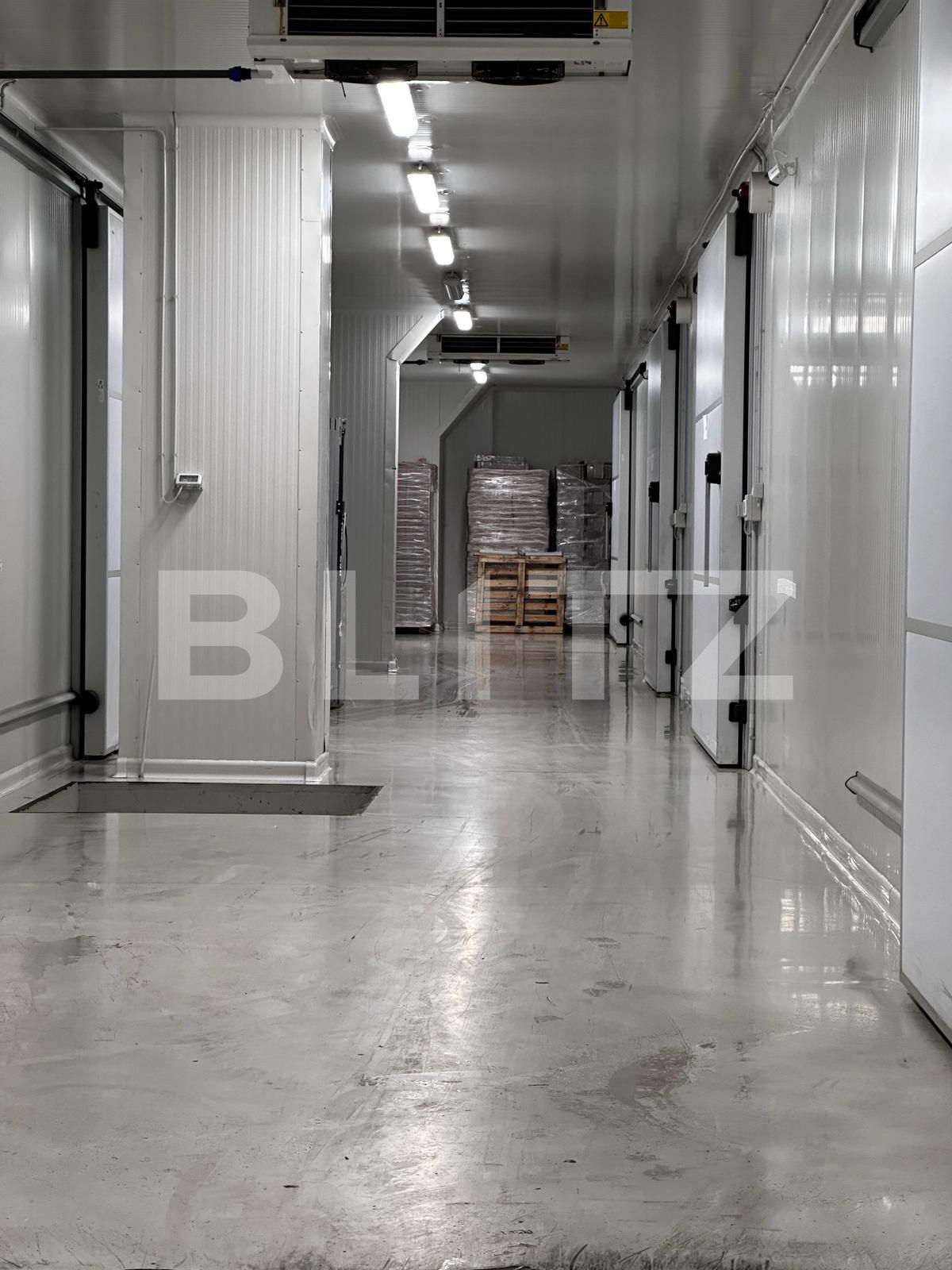 Spațiu industrial de vânzare Nufarul - 138083SVI | BLITZ Oradea | Poza10