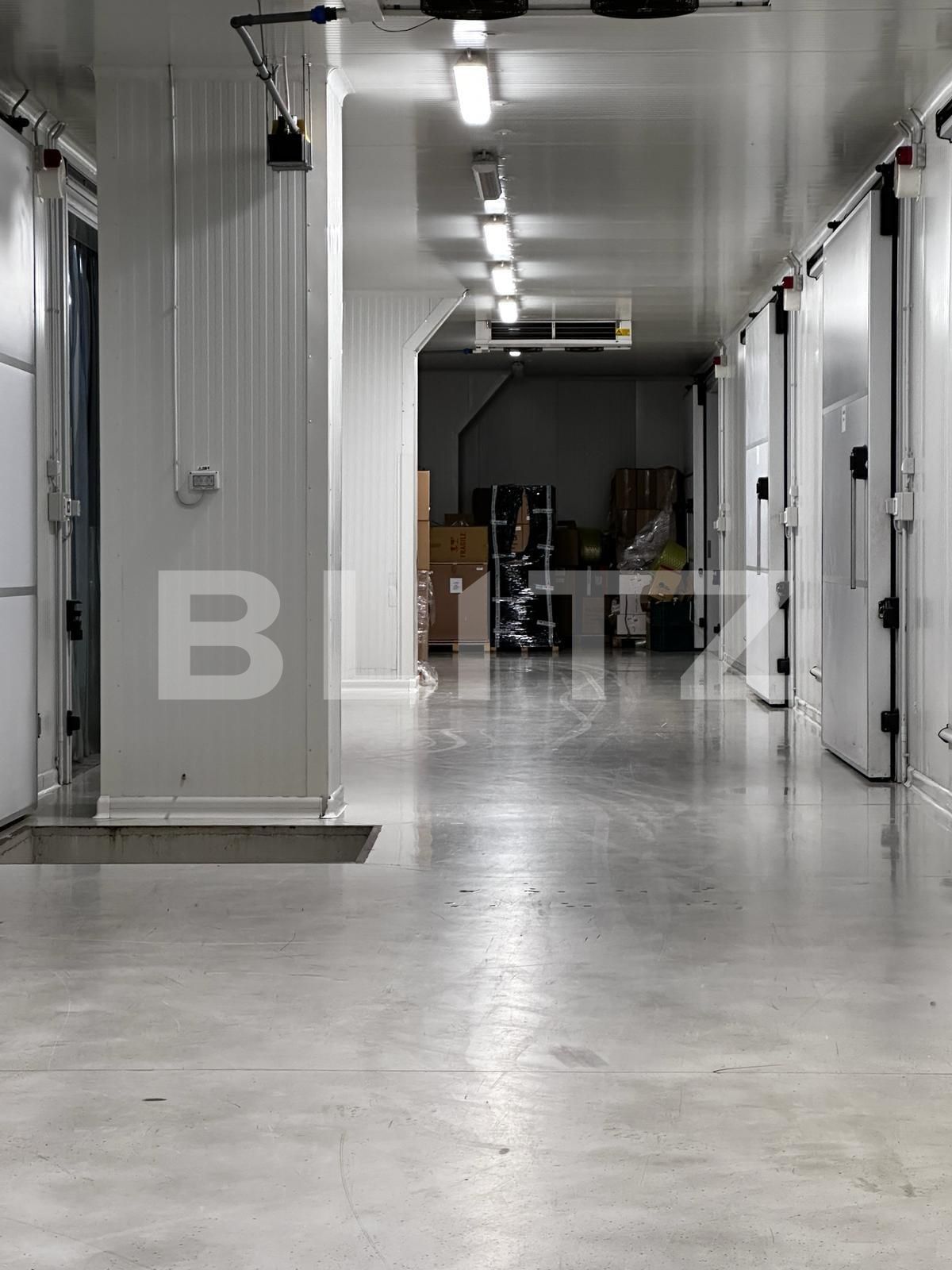 Spațiu industrial de vânzare Nufarul - 138083SVI | BLITZ Oradea | Poza5