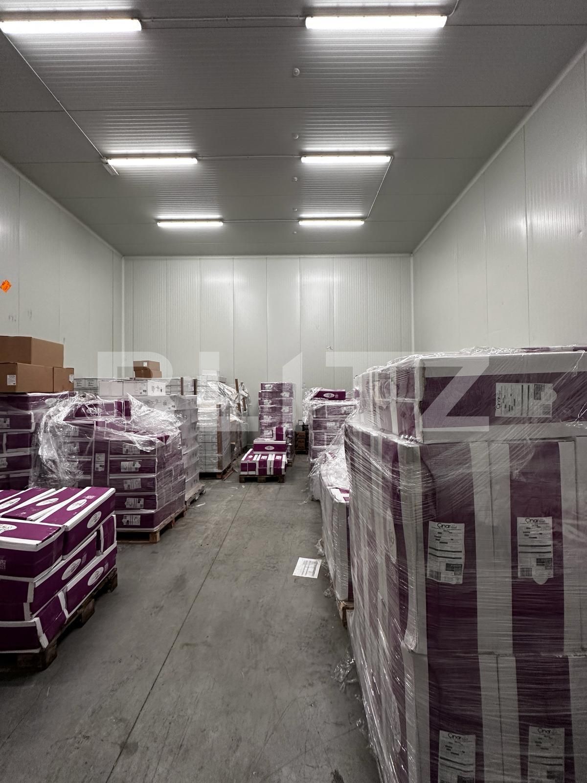 Spațiu industrial de vânzare Nufarul - 138083SVI | BLITZ Oradea | Poza3