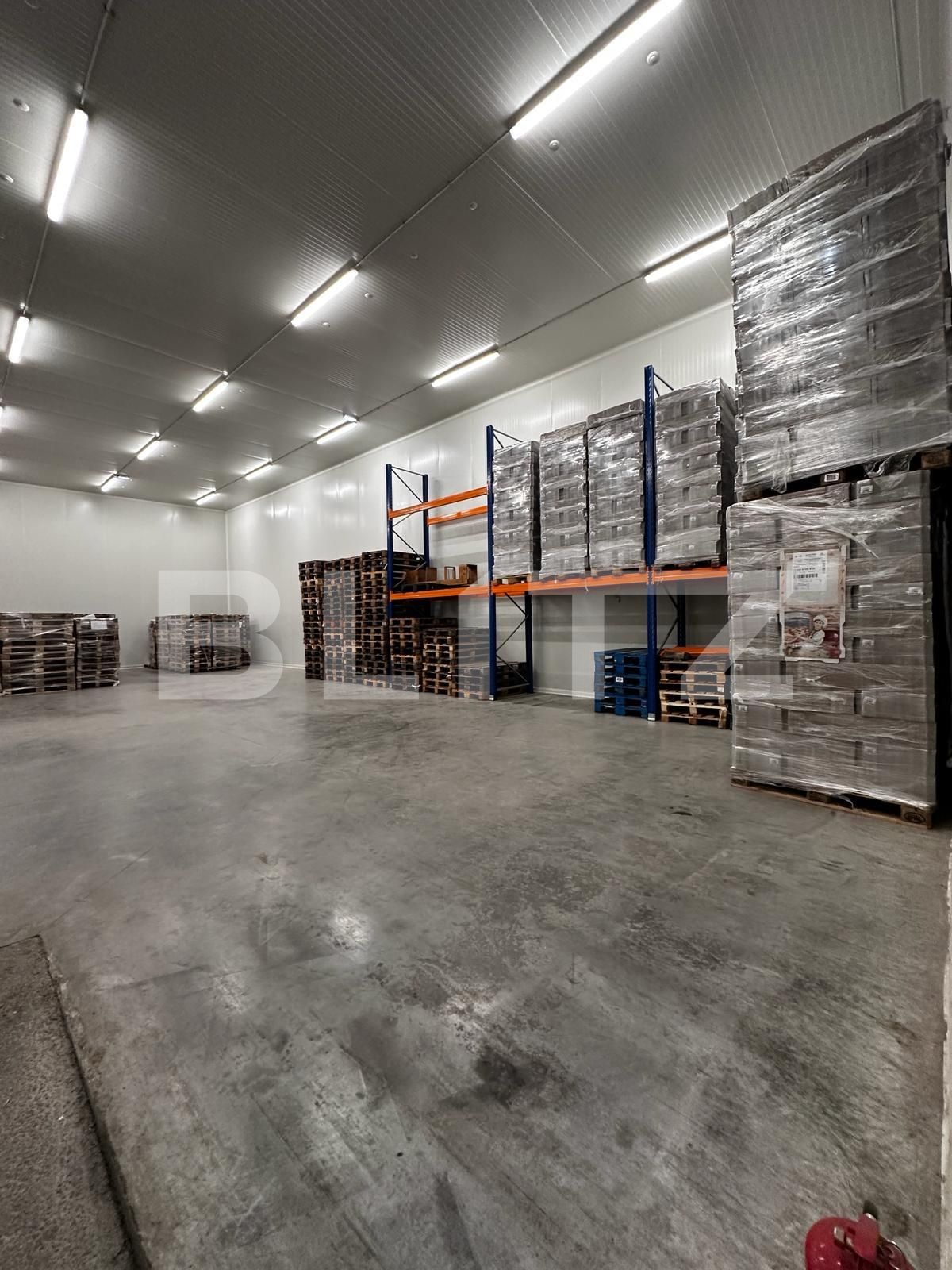 Spațiu industrial de vânzare Nufarul - 138083SVI | BLITZ Oradea | Poza18