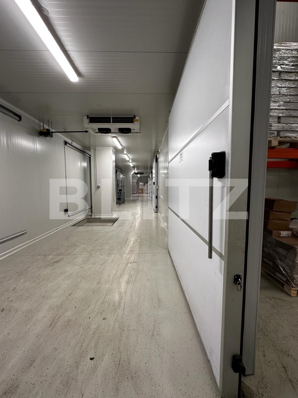 Spațiu industrial de vânzare Nufarul - 138083SVI | BLITZ Oradea | Poza8