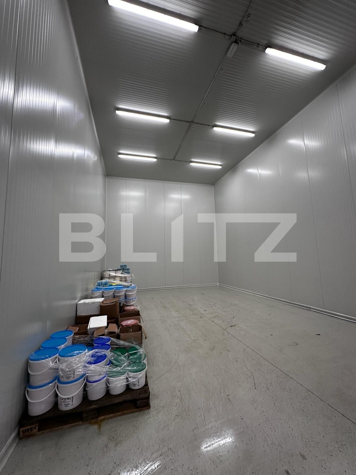 Spațiu industrial de vânzare Nufarul - 138083SVI | BLITZ Oradea | Poza2