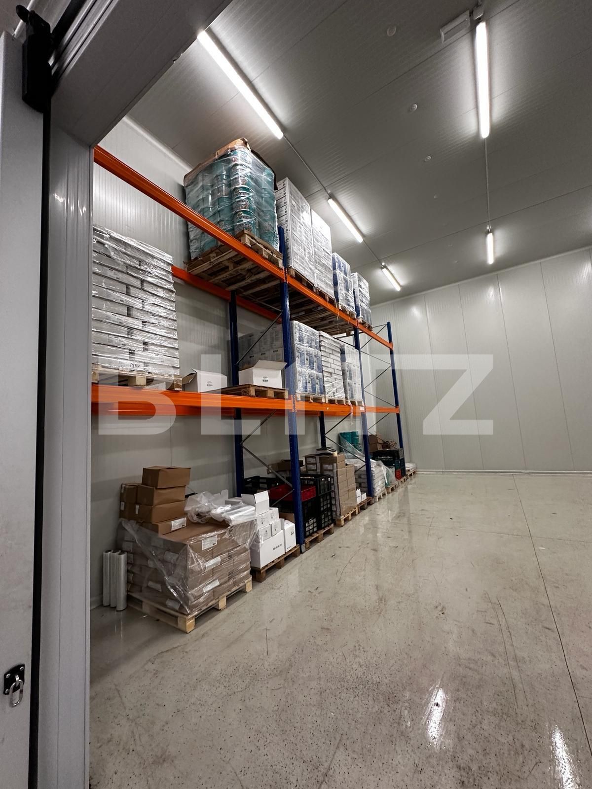 Spațiu industrial de vânzare Nufarul - 138083SVI | BLITZ Oradea | Poza7