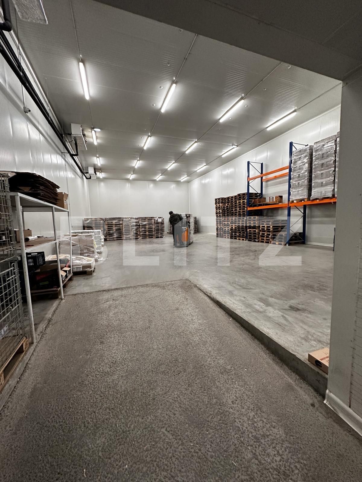 Spațiu industrial de vânzare Nufarul - 138083SVI | BLITZ Oradea | Poza12