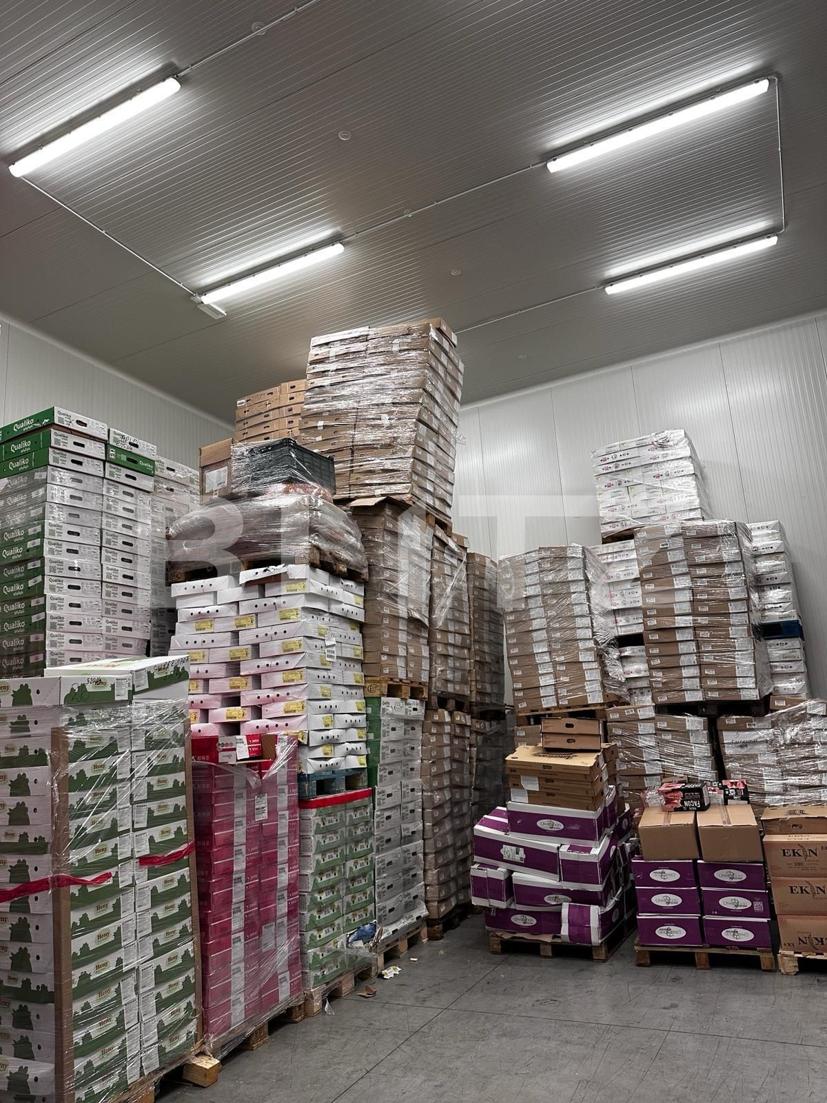 Spațiu industrial de vânzare Nufarul - 138083SVI | BLITZ Oradea | Poza4