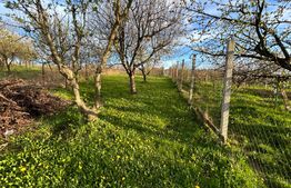 Casa cu 3 camere 2000 mp zona Gheorghe Doja