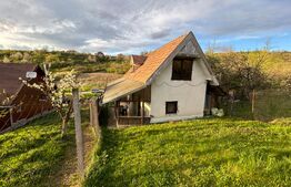 Casa cu 3 camere 2000 mp zona Gheorghe Doja