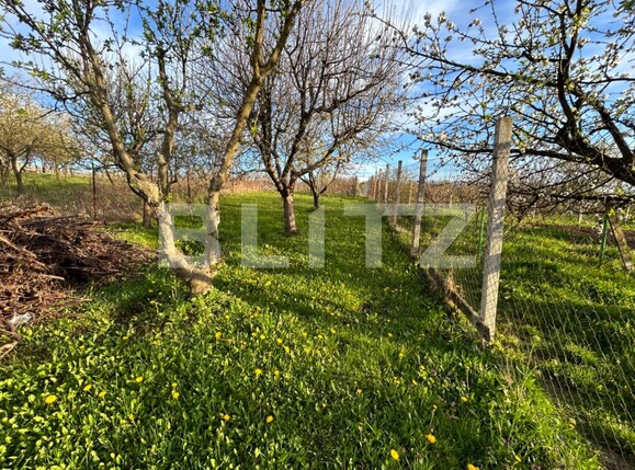 Casa de vânzare 3 camere Podgoria - 138195CV | BLITZ Oradea | Poza5