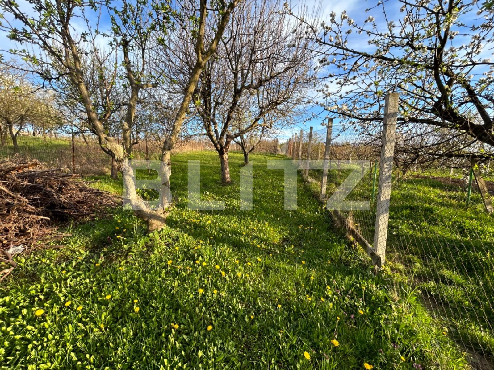 Casa de vânzare 3 camere Podgoria - 138195CV | BLITZ Oradea | Poza5