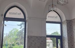 Spatiu comercial 40 mp, zona Ultracentrala