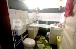 Casa in zona centrala, teren 470mp, 210utili, strada Slanicului