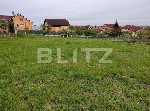 Teren de vânzare Oncea - 138428TV | BLITZ Oradea | Poza1